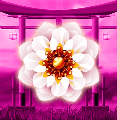 8 Flowers
